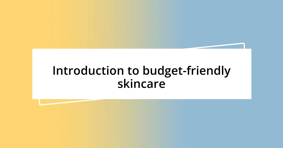 Introduction to budget-friendly skincare