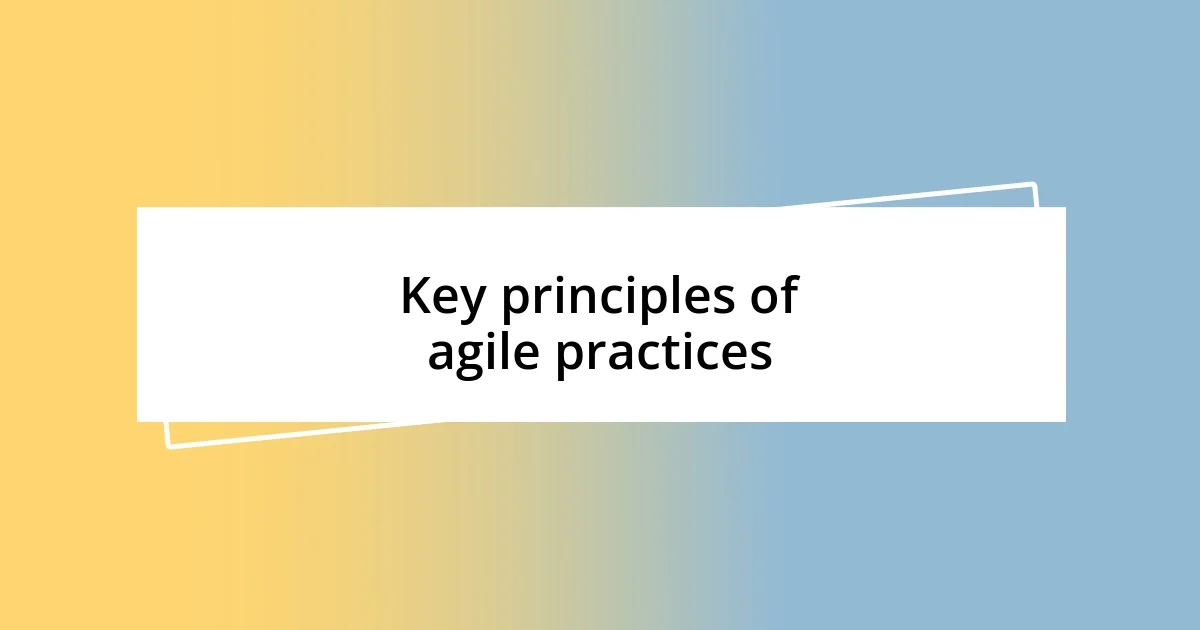 Key principles of agile practices