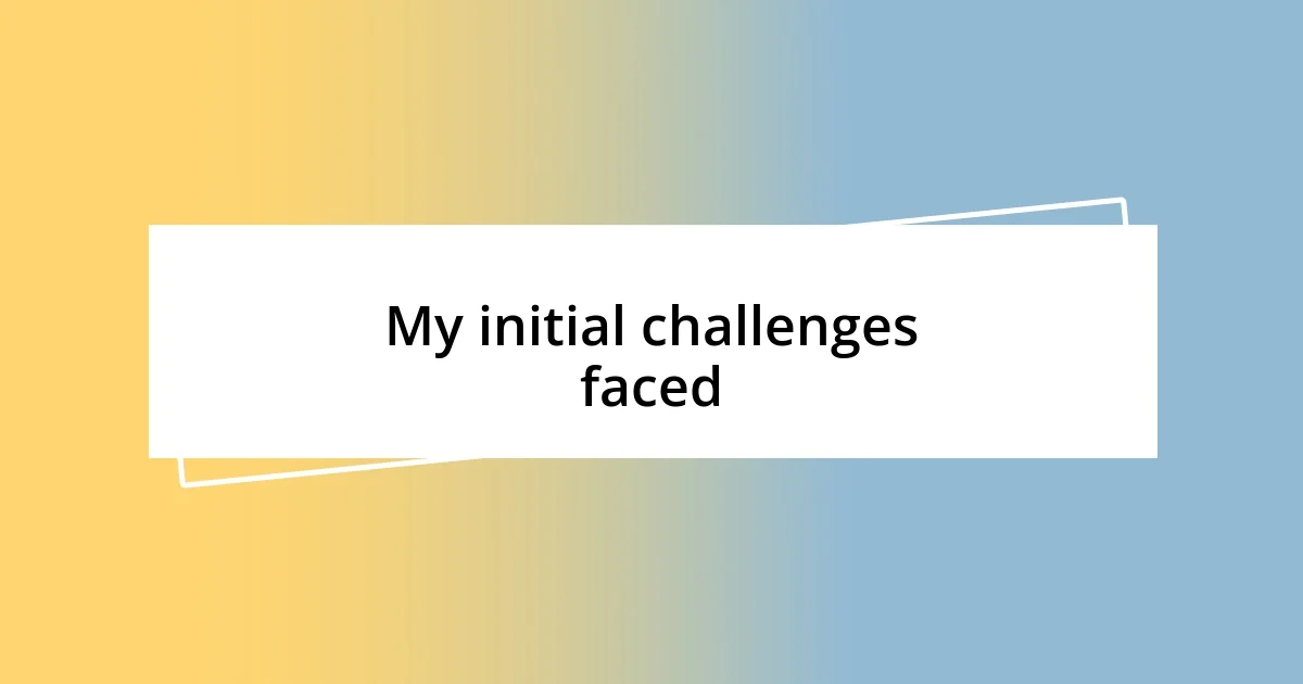 My initial challenges faced